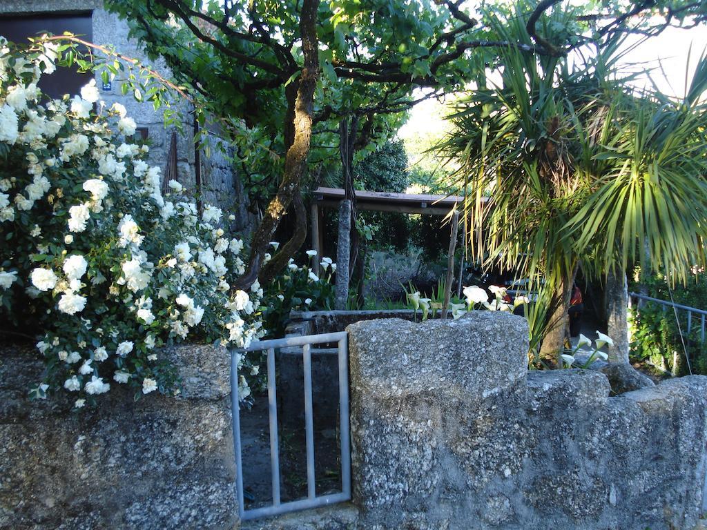 Casa Do Faroca Villa Vieira do Minho Luaran gambar